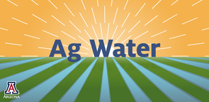 "Ag Water was designed for the agriculture industry and has received overwhelmingly positive responses from stakeholders during test-play at agriculture conferences, meetings and workshops across the nation," says Dametreea Carr, assistant health educator in UA Cooperative Extension. "Ag Water was designed for the agriculture industry and has received overwhelmingly positive responses from stakeholders during test-play at agriculture conferences, meetings and workshops across the nation," says Dametreea Carr, assistant health educator in UA Cooperative Extension.